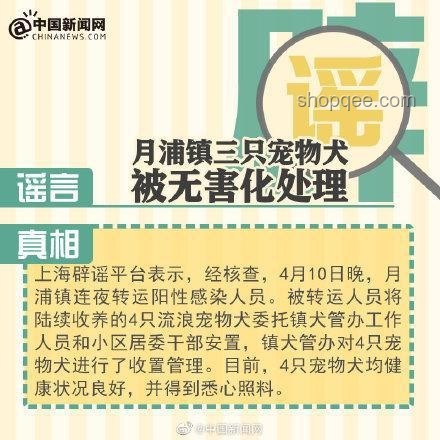 陈梦辟谣400亿传闻：实操指南应对网络谣言